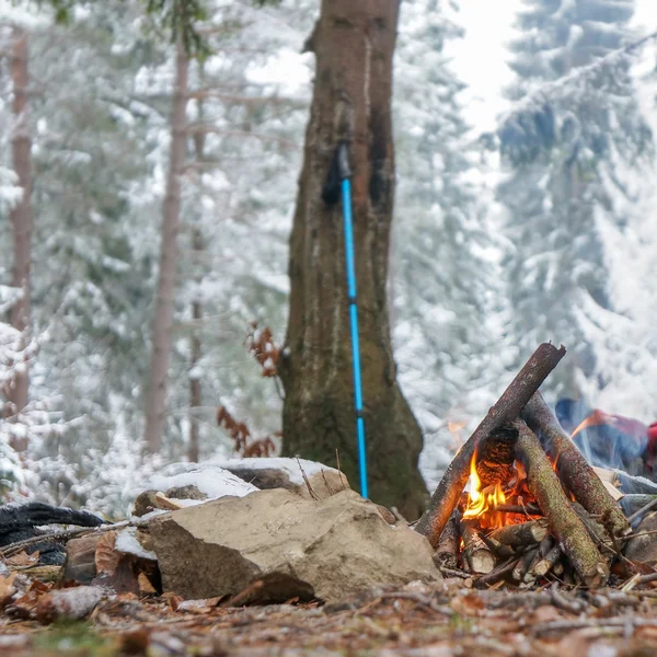Kampvuur in winter forest — Stockfoto