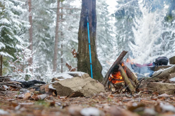 Feu de camp dans la forêt d'hiver — Photo