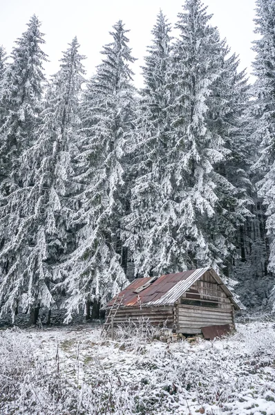 Opuštěný dům zimní pastýřů — Stock fotografie