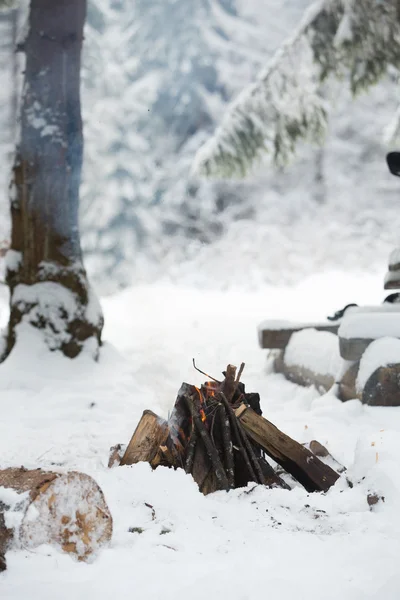 Bonfire in winter forest — Stock Photo, Image