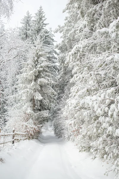 Прекрасный зимний пейзаж — стоковое фото