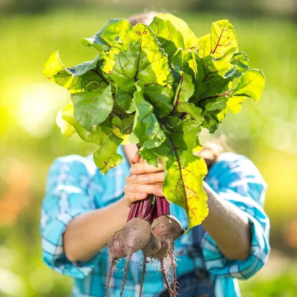 Green beetroots