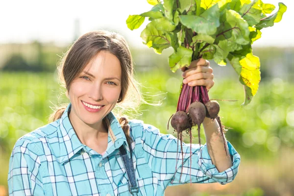 Gemüsegarten — Stockfoto