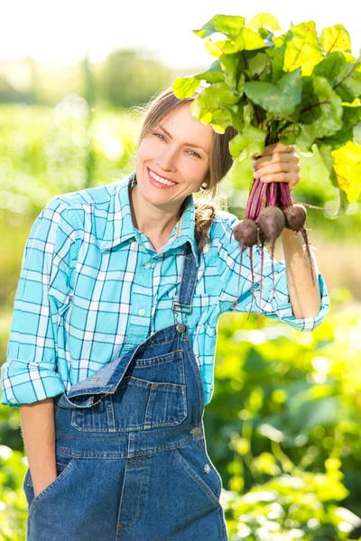 Huerto vegetal — Foto de Stock