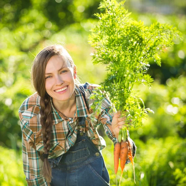 Gardener with bunch of carrots — Stock Photo, Image