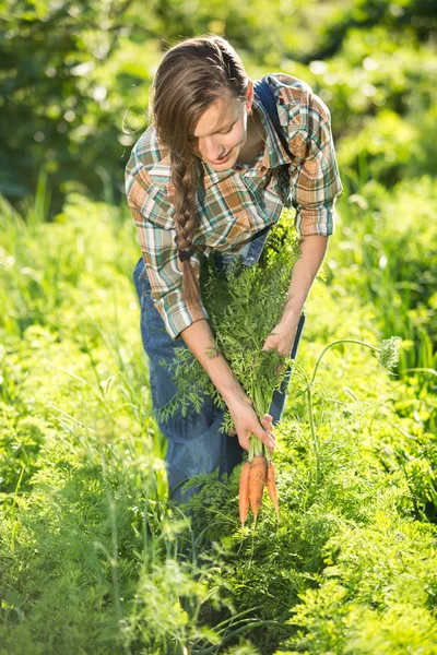 Travailler dans le potager — Photo