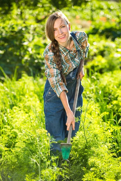 Arbeiten im Gemüsegarten — Stockfoto