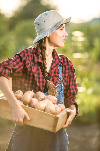 Gärtner mit einer Ernte — Stockfoto