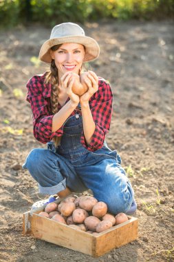 Sebze Bahçe patates