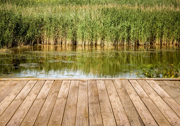 Stock image Summer background