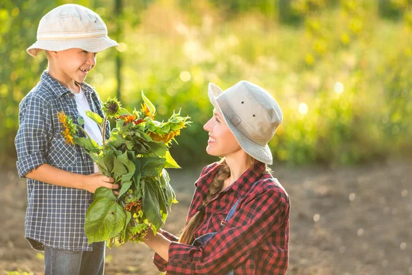 Gardening — Stock Photo, Image