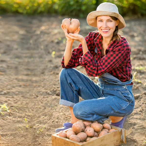 Agricultura — Foto de Stock