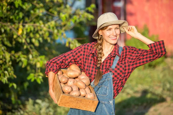 Harvest woman — Stock Photo, Image