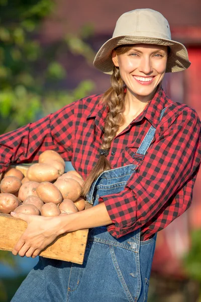 Agricultor com legumes — Fotografia de Stock