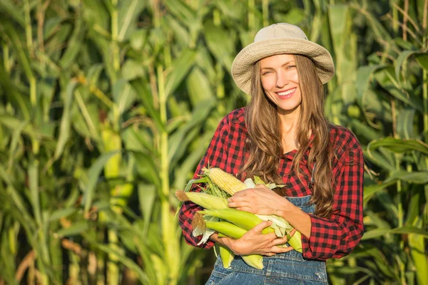 Farmář, zemědělství — Stock fotografie