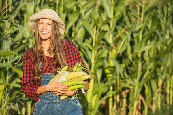 Agricultor, agricultura — Fotografia de Stock