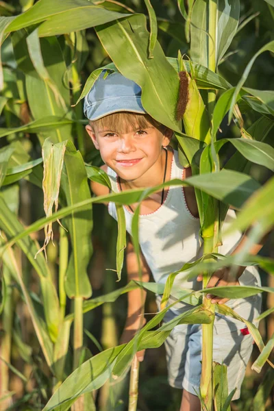 Lyckligt barn i majs fältet glada leende — Stockfoto