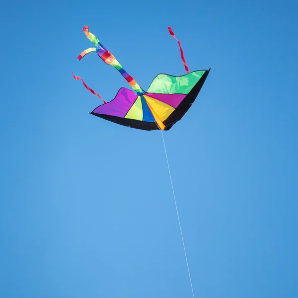 Kite in blauwe hemel — Stockfoto