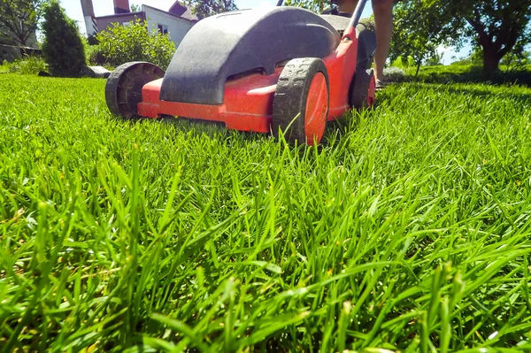 붉은 잔디 깍는 기계 — 스톡 사진