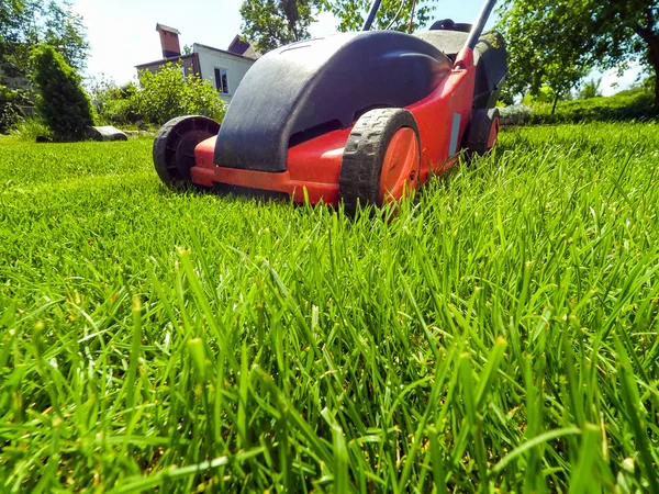 Kırmızı çim biçme makinesi — Stok fotoğraf