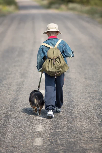Boy on road with a dog walking — Stock Photo, Image