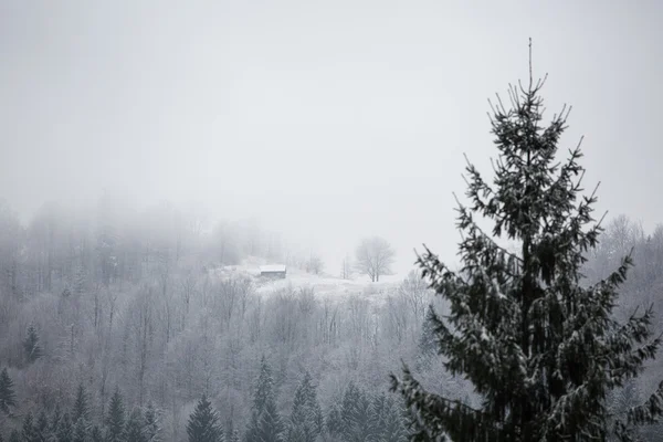 Beau paysage d'hiver — Photo