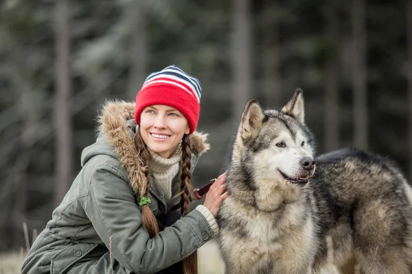 Hund och människor-konceptet — Stockfoto