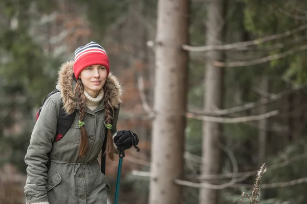 Mujer con equipo de senderismo caminando en el bosque de montaña — Foto de Stock