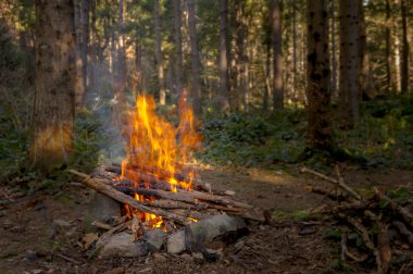 Akşam sonbahar ormandaki şenlik ateşi
