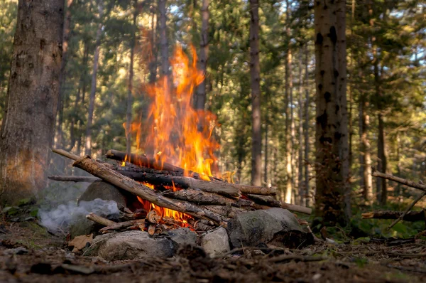 Bonfire in the autumn forest in the evening — Stock Photo, Image