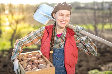 Bahar bahçıvan veya patates ile çiftçi
