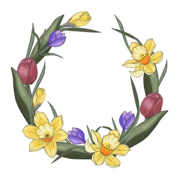Vårkrans tulpaner narcissus krokusblad, handritning. — Stock vektor