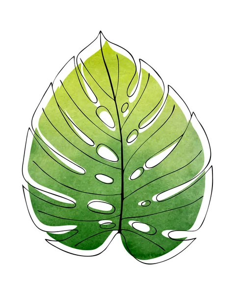 Contour des feuilles Monstera, sur fond aquarelle vert, fond aquarelle en forme de feuille. — Image vectorielle