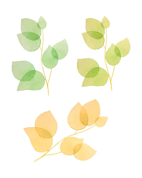 Conjunto de ramas con hojas de acuarela, hojas de primavera u otoño, elementos aislados, para fondo, banner, postal. — Vector de stock