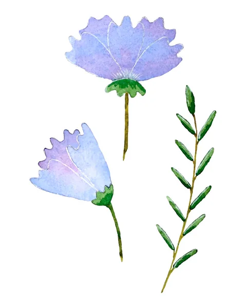 Σετ από απομονωμένα άνθη ακουαρέλας κλαδί φύλλων, για σχεδιασμό φόντου, πανό, καρτ ποστάλ. — Διανυσματικό Αρχείο