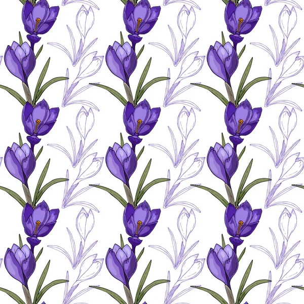 Motif sans couture avec crocus, fleurs gribouillis, dessin à la main, fleur de contour, sur fond blanc. Pour papier peint, emballage, toile de fond, bannière. — Image vectorielle