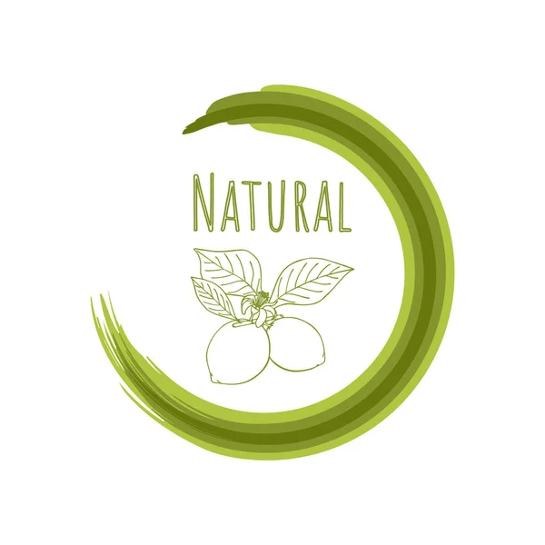 Натуральный продукт, лимонные каракули, экологически чистая, веганская, здоровая пища. Круглый знак, логотип, кисть векторных авторов. — стоковый вектор