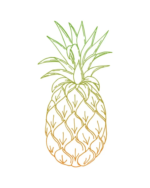 Ananas karalaması, ananas rengi orangutan yeşili gradyan el çizimi, beyaz arka planda, izole edilmiş..