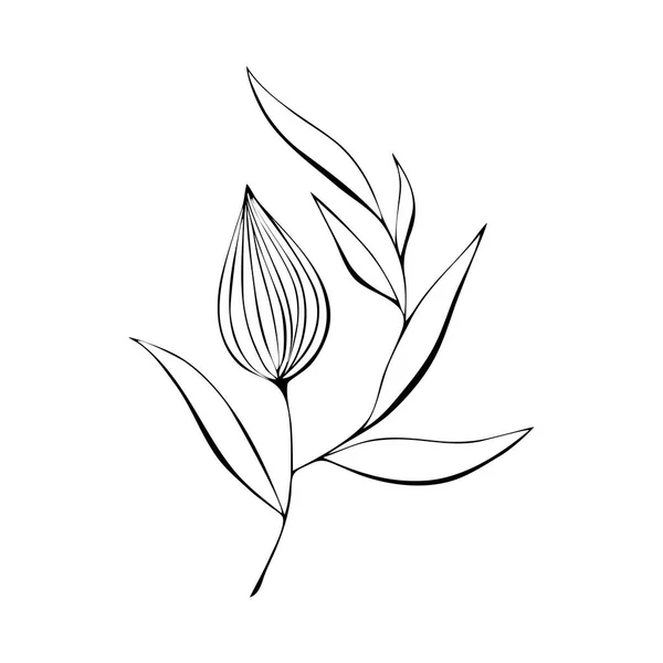 Physalis contorno nero stilizzato disegno a mano, isolato su sfondo bianco. — Vettoriale Stock