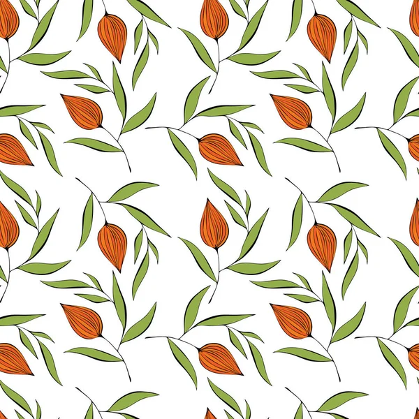 Beyaz arka planda Physalis karalama deseni.