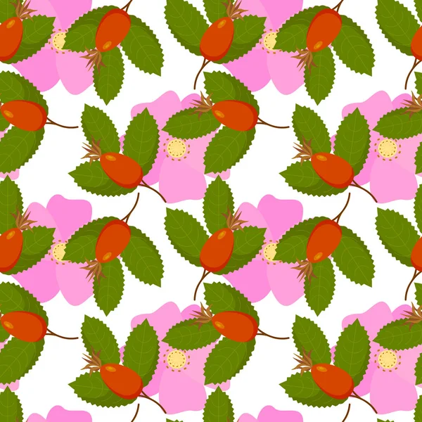 Τριανταφυλλιά τριαντάφυλλο canina μοτίβο λουλούδια φρούτα με φύλλα, μούρα. Σε λευκό φόντο. — Διανυσματικό Αρχείο