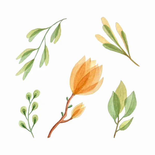 Botanical watercolor set, hand drawing, magnolia leaves branches, design elements, isolated, white background. — Stock Vector