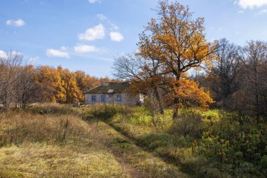 Ormanın kenarında terk edilmiş bir ev.