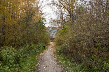 Sonbahar zamanı gözler büyüleyici