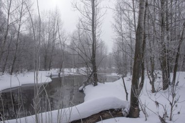 Bahar Ormanı ve Belaya Nehri