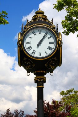 Street clock surrounded by nature and blue cloudy sky clipart