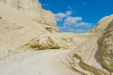 Negev, İsrail çöl