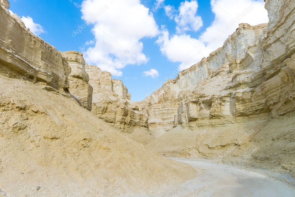 Negev desert Israel