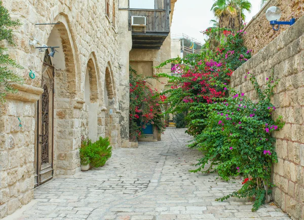 Typical alley in Jaffa, Tel Aviv - Israel — Stock Photo, Image