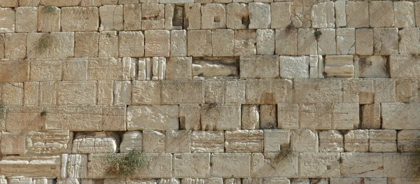 Pedras do muro das lamentações em Jerusalém — Fotografia de Stock